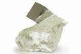 Natural Pyrite Cube In Rock - Navajun, Spain #227626-1